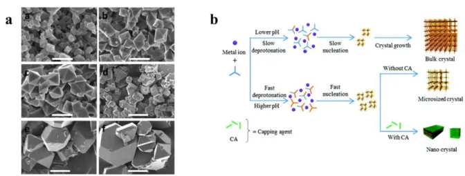 Figure 1.4.  A different method for getting large-size MOF crystals.  (a) SEM images of Cu 3 (BTC) 2
