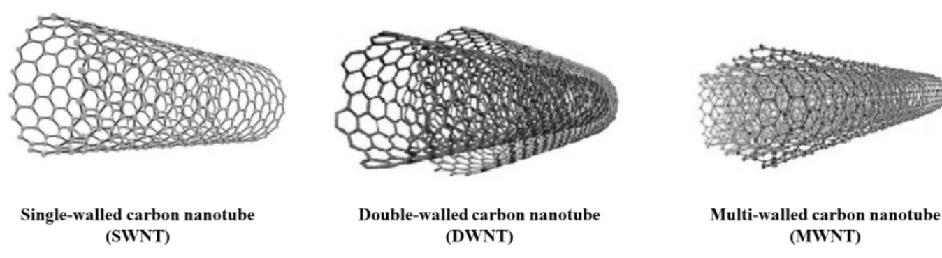 Figure 1.2. Types of carbon nanotubes depending on different number of walls being rolled up 