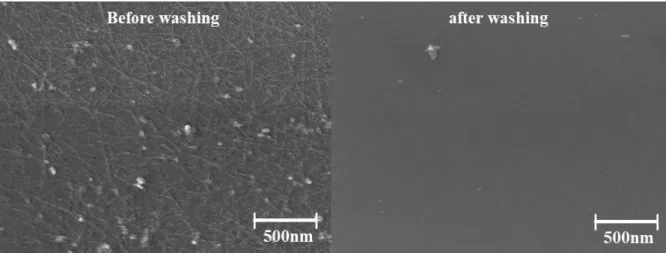 Figure 1.8. SEM image of physical absorption SWNTs film by spin coating before and after washing  process