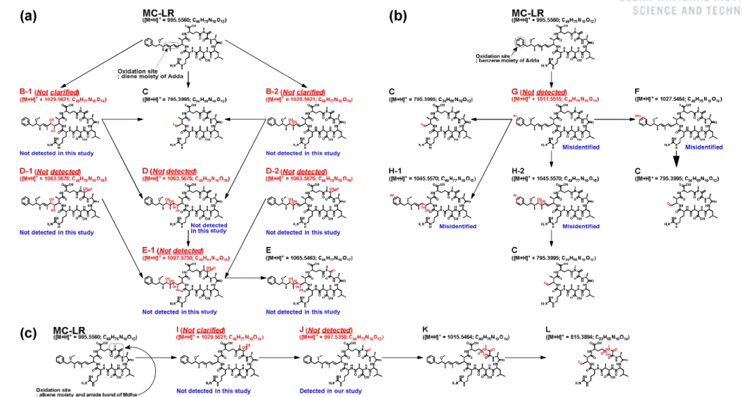 Figure 3.17. Oxidation pathways of MC-LR by Mn(VII) proposed by Jeong et al. 44 : (a) diene oxidation products, (b) aromatic ring oxidation products, and  (c) amide bond hydrolysis products