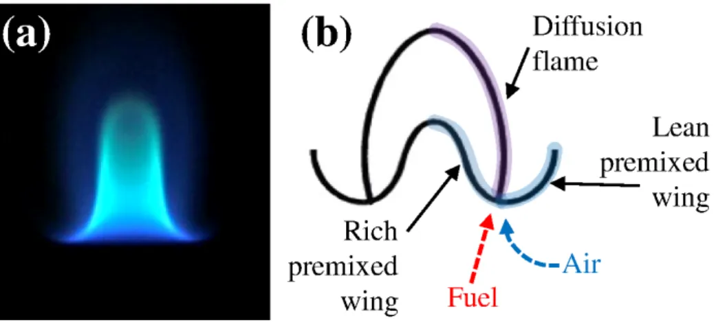 Figure 1.1: (a) Direct image and (b) schematic figure of a laminar lifted jet flame.