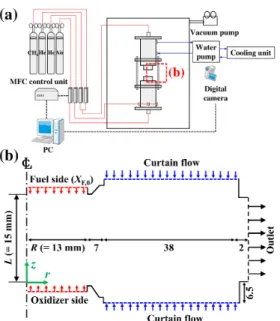 Figure 2.2: (a) Schematic of experimental setup and (b) configuration of the counterflow burner.