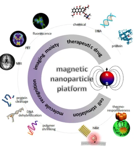 Figure 1. Role of the magnetic nanoparticles as platform materials to be used in bio-application 1