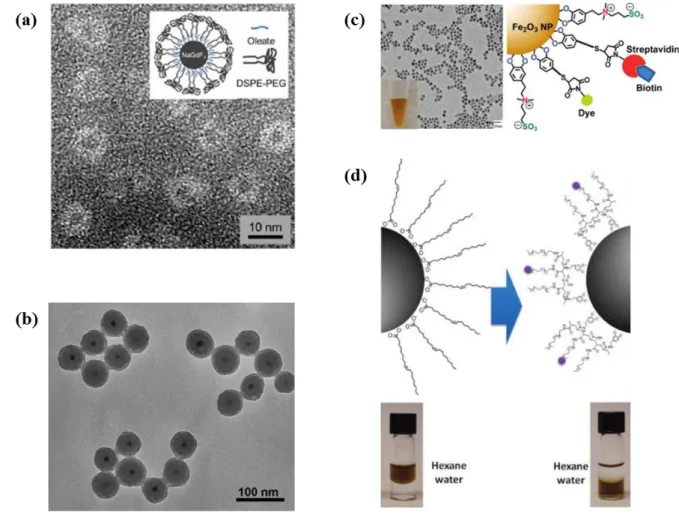 Figure 2. TEM image of (a) encapsulated NaGdF 4  nanoparticles 14 . (b) silica coated IONPs 15 