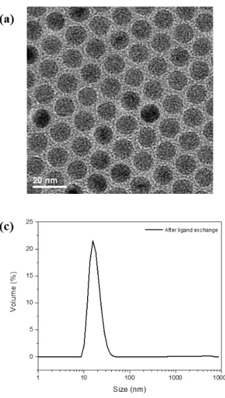 Figure 4. TEM image of IONPs (a) before ligand exchange and (b) after ligand exchange