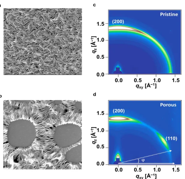 Figure 38. SEM images of (a) smooth and (b) porous PVDF-TrFE thin films on textured Si  substrates thermally annealed at 135 °C for 4 hours