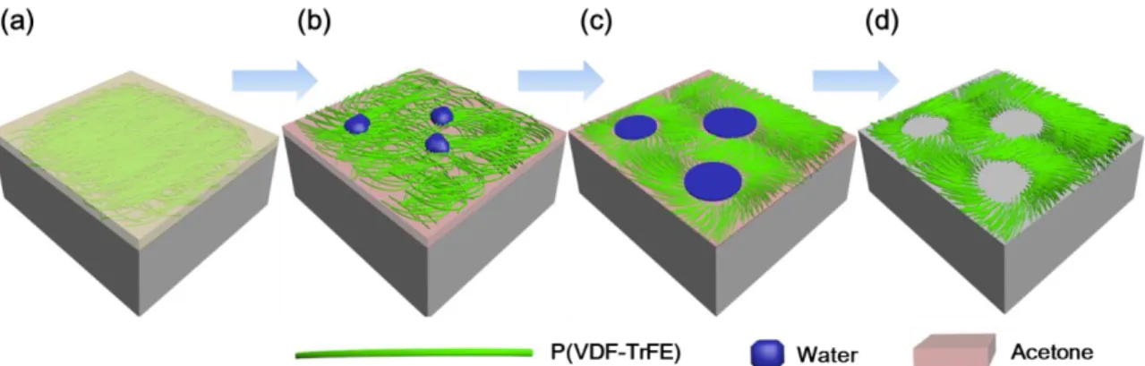 Figure 26. Schematic fabrication of P(VDF-TrFE) porous thin films. (a) Homogenous solution  of P(VDF-TrFE) and water in acetone, (b) coalescing water droplets in solution, (c) expansion  of  coalesced  water  droplets  during  spin  coating,  and  (d)  sel