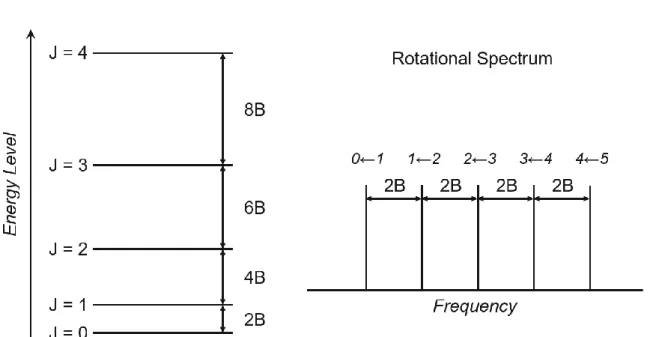 Figure 2.9. Rotational  states  for a  rigid  linear  rotor  and the  corresponding  rotational  spectrum