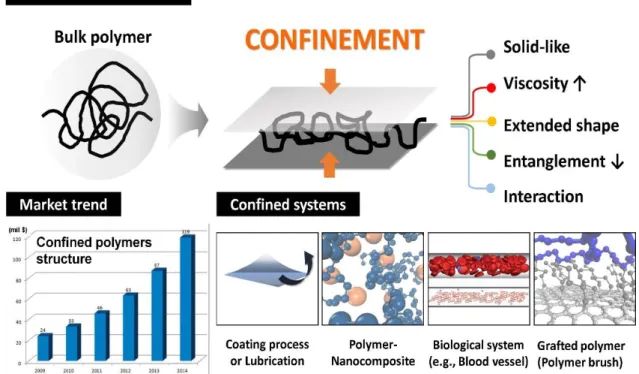 Figure 1.1.2. Basic information of confined polymeric systems. 