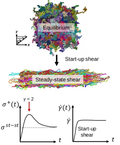 Figure 1.1.4. (Top) Atomistic description of systems undergoing start-up shear. (Bottom) Transient behavior of  shear stress and shear rate as a function of time