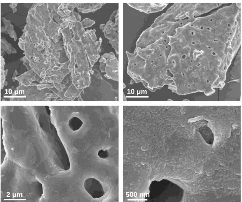 Figure 2.26. SEM images of the Li 4 SiO 4  absorbent after twenty-five absorption-desorption cycles