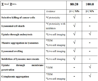 Table 2.1. The key cellular effects on cancer cells: mixed-charge vs cationic nanoparticles