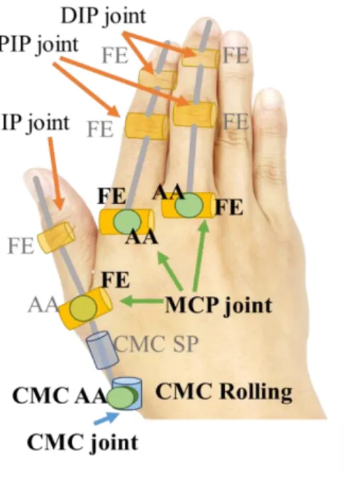 Figure 2.2 The motion of thumb, index and middle finger and seven finger motions to be measured 