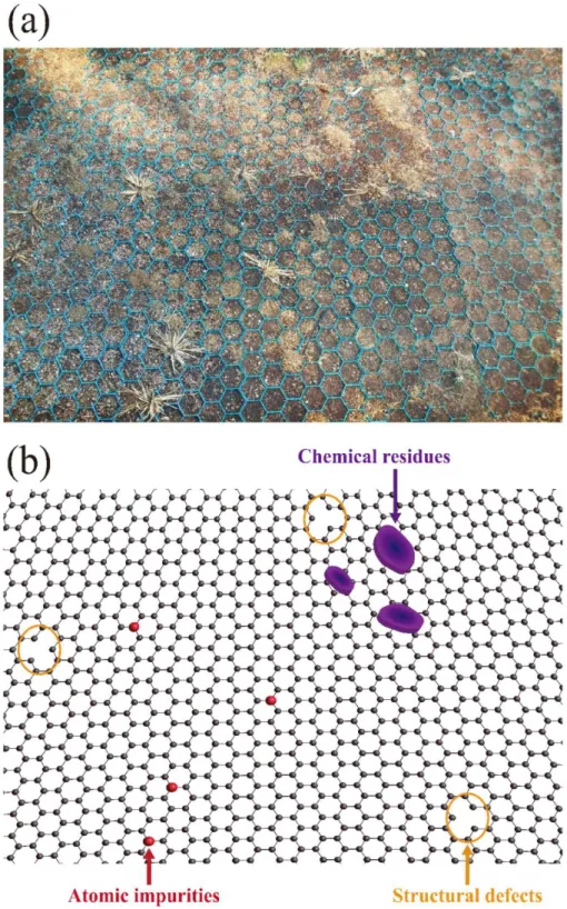 Figure 26. (a) Photo taken near the playground showing the hexagonal mesh structure. (b) Graphene  lattice  structure  drawn  with  chemical  residues,  atomic  impurities,  and  structural  defects,  which  is  inspired by the photo
