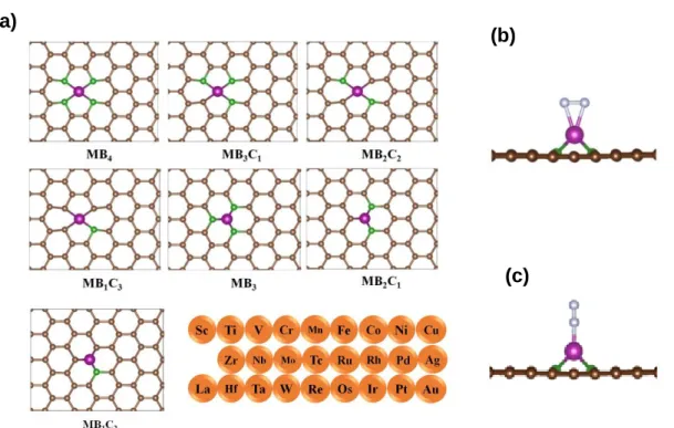 Figure 4.1. (a) Structures of B-doped graphene with metal single atoms (26 transition metals) considered  for screening