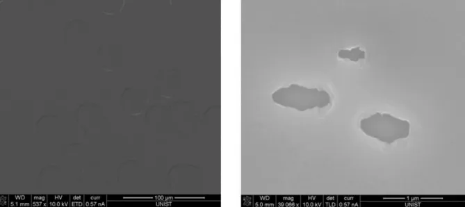 Figure  2.8:  SEM  images  for  surface  of  fabricated  epitaxy.  There  are  many  holes  that  appear  to  be  dislocations