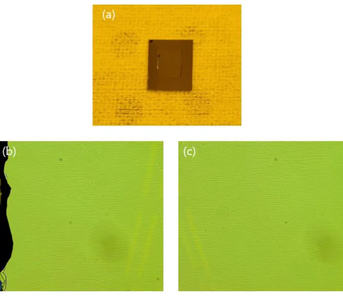 Figure 3.8: Result of BCB bonding. (a) Photograph of KTH epitaxy on SOI substrate after substrate  removal