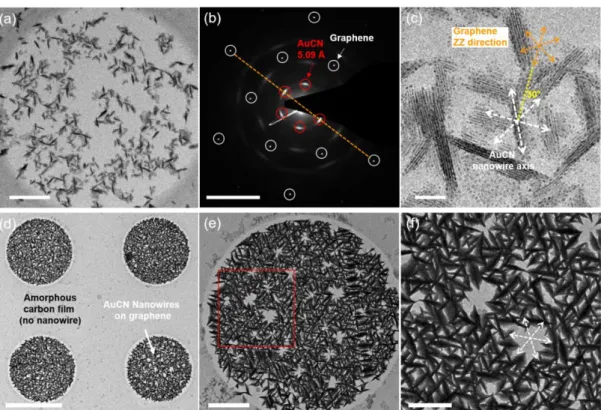 Figure 16. (a) TEM image of synthesized AuCN nanowires on graphene using a 0.8mM AuCN 