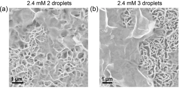 Figure  18.  SEM  image  of AuCN  depositin  on  graphene  with  multiple  drop-casts  using  high  concentration  (2.4mM)