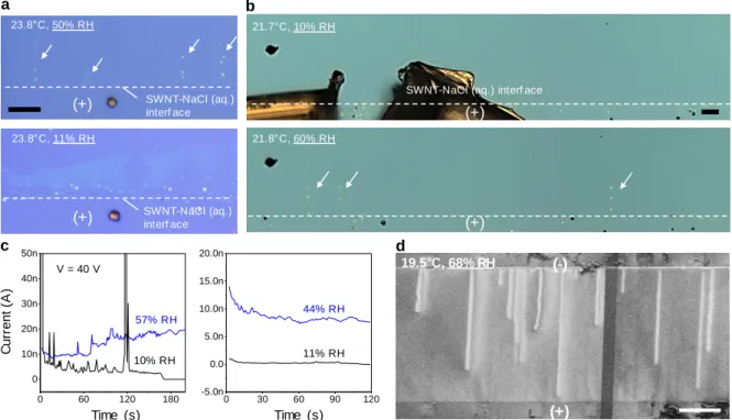 Figure 2.6 The effect of humidity on the exterior transport of ions along the nanotubes