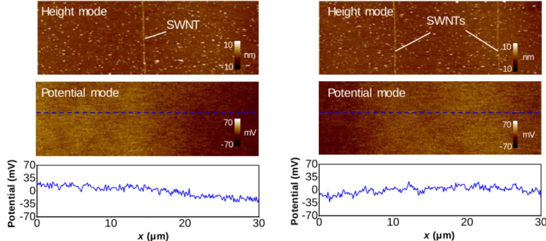 Figure 2.12 AFM and KPFM images of pristine SWNTs grown on SiO 2  substrate. Without applying electrical bias, there is  no local  enrichment  of charges along pristine SWNTs grown on SiO 2  substrate as shown in the AFM, KPFM images and  potential profile
