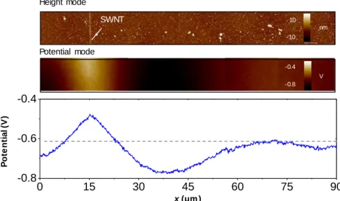 Figure 2.13 Distributions of surface charges along the SWNT and near substrate. AFM height mode (top), KPFM potential  mode (middle), and the potential profile (bottom) across the scanned area, which confirm positive charges along the nanotube  and negativ