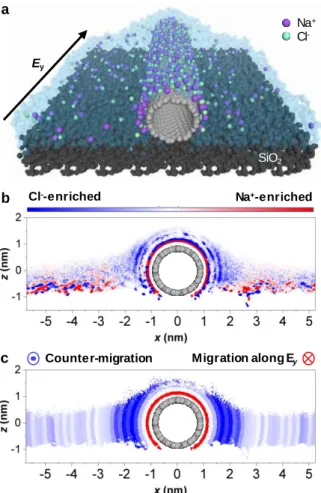Figure 2.15 Molecular dynamics (MD) calculations of the ionic transport along SWNT under an electric field