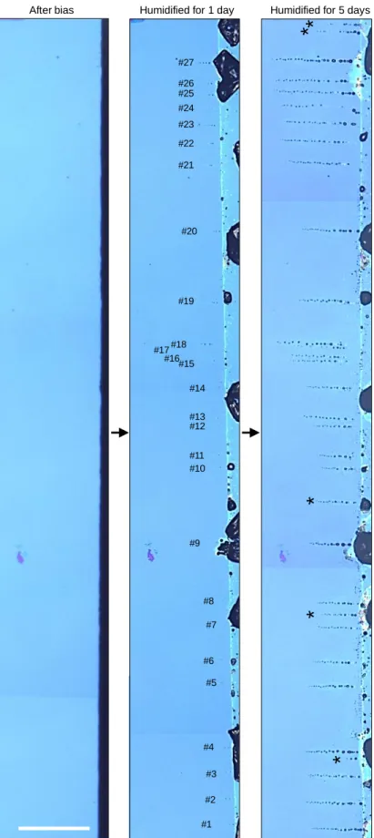 Figure 3.9  A sample after the transport of KI (left), stored in humidified condition for 1 day (middle) and 5 days (right)