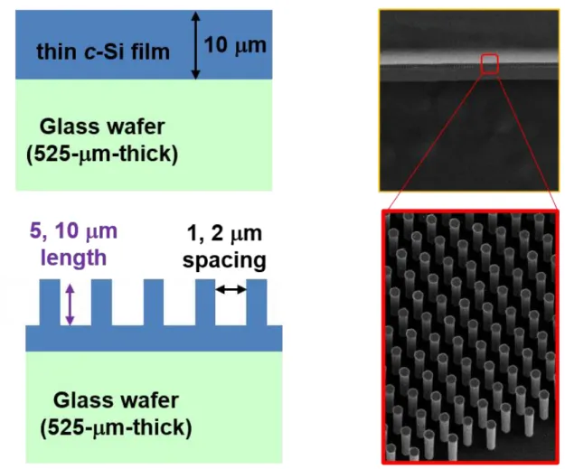 Figure 2.5 Schematic of crystalline silicon microwire arrays on glass wafers and scanning electron  microscopy images of crystalline silicon microwire arrays 