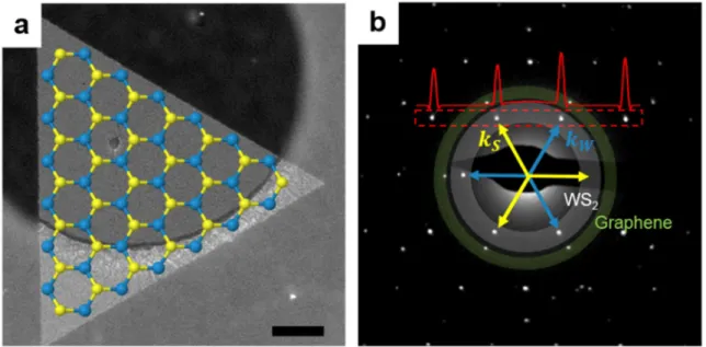 Figure  3.1.  Epitaxial  growth  of  WS 2   on  graphene  substrate.  (a)  DF-TEM  image  and  (b)  SAED  pattern of WS 2  flake directly grown on the graphene substrate