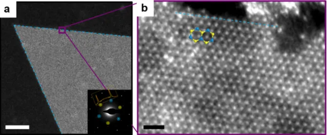 Figure 3.2. Tungsten terminated growth of WS 2 . (a) DF-TEM image and SAED pattern (inset) of  WS 2 /graphene heterostructure