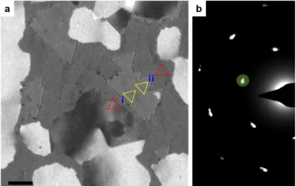 Figure  3.5.  APBs  in  MoS 2  grown  on  the  sapphire  substrate.  (a)  DF-TEM  image  and  (b)  corresponding diffraction pattern
