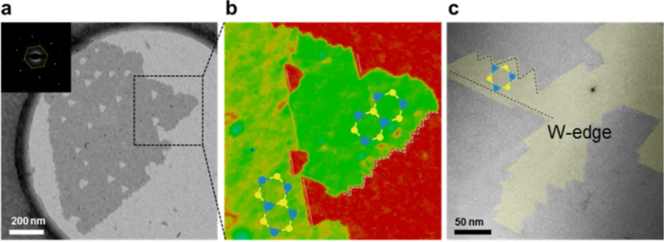 Figure 3.22. Two types of edge in degraded MoS 2 . Edges have  different overall structures to have  energetically favorable edge configurations at atomic scale, similar to the case of APB
