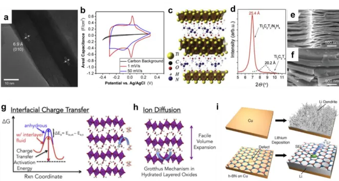 Figure 1.2. Possibilities of 2D materials with distinct structural characteristics for EES