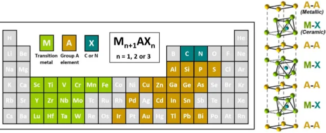 Figure 1.6. Elements of the periodic table discovered in MAX phases and unit cells with n = 1