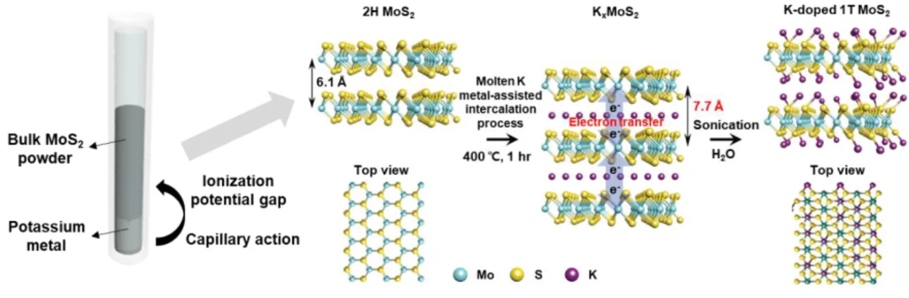 Figure 1.2. Schematic of synthesis of K doped 1T MoS 2  via molten potassium intercalation