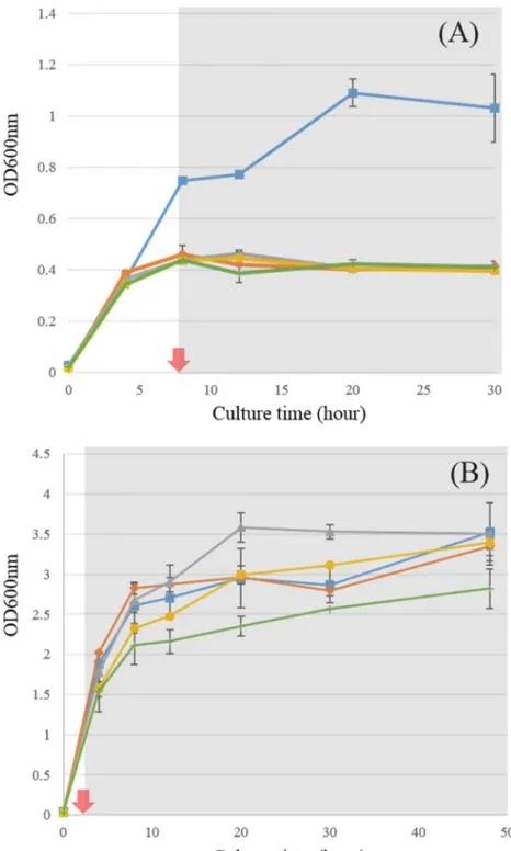 Figure 4. Cell growth in M9 medium with 0.1 % oleic acid and 0.05 % glucose (A) and in LB  broth (B) 