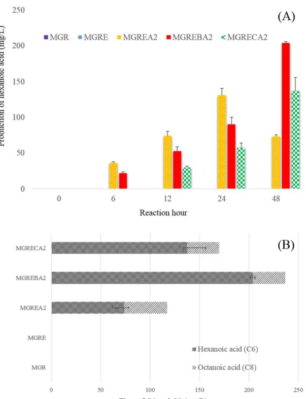 Figure 7. Production of hexanoic acid by biotransformation in M9 medium 