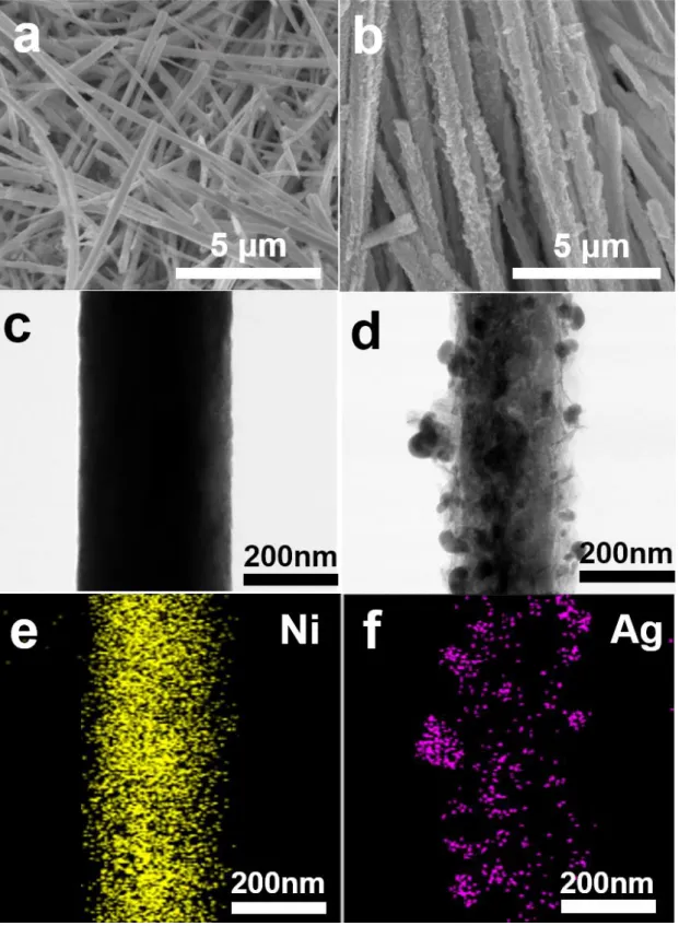 Figure 4-1. The morphology of Ni nanowire substrate and Ag/Ni electrode and EDX image