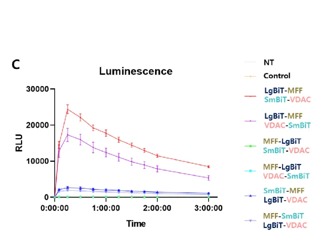 Figure 2.3 LgBiT-MFF and SmBiT-VDAC are proper combination to express highest luminescent  activity 