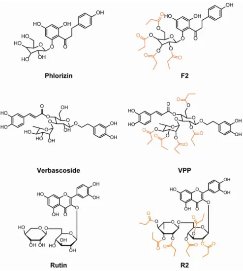 Figure 3.1. Chemical structures of glycosylated polyphenols and their derivatives.  Phlorizin, 1-(2,4-