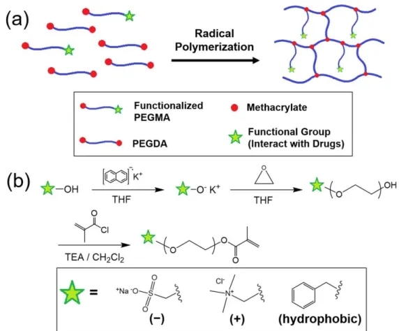 Figure  2-5.  (a)  Fabrication  of  PEG  hydrogels  with  functional  pendant  chains  via  radical  copolymerization  of  PEGDA  with  heterobifunctional  PEGMA