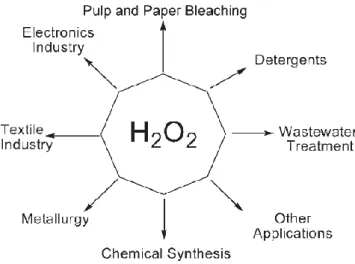 Figure 1.1 Applications of hydrogen peroxide 6