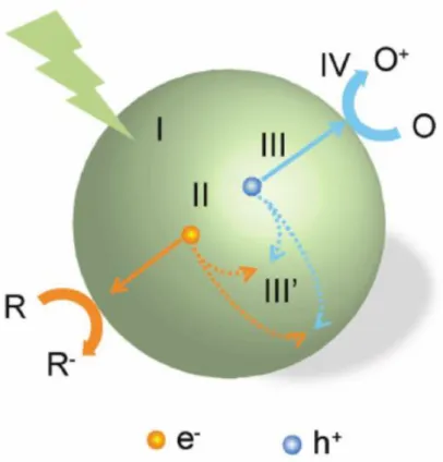 Figure 1.8 Schematic of photocatalysis I) Generation of electron and hole pair by light absorption; 