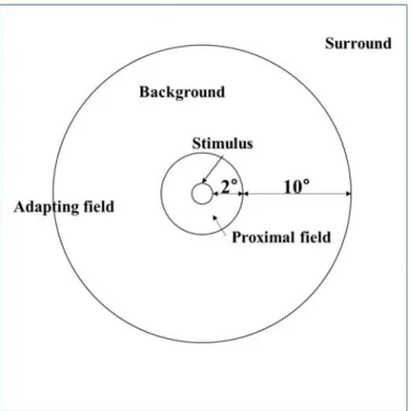 Figure 2-18 Schematic illustration of viewing field, (M. D. Fairchild, 2005) 