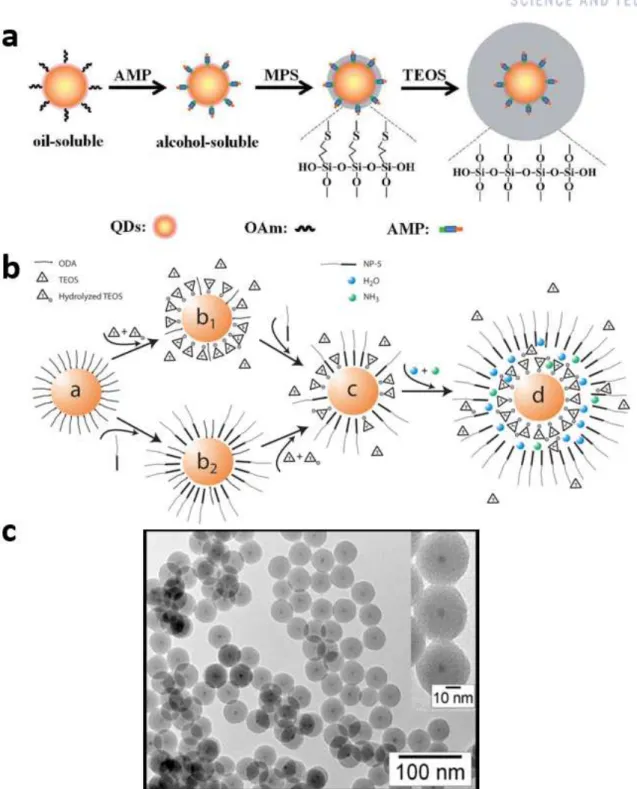 Figure 1.12. (a) Schematic illustration for the synthesis of quantum dots@SiO 2  using Stöber approach