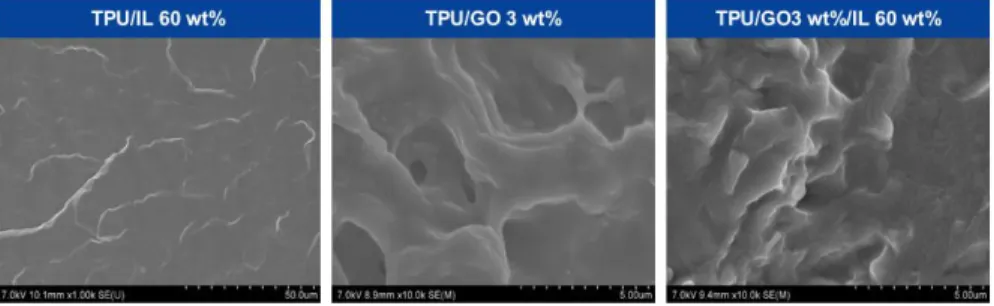 Figure 3.3. (a) EDS data of TPU/IL composite (60wt% of ion liquid  against TPU polymer)