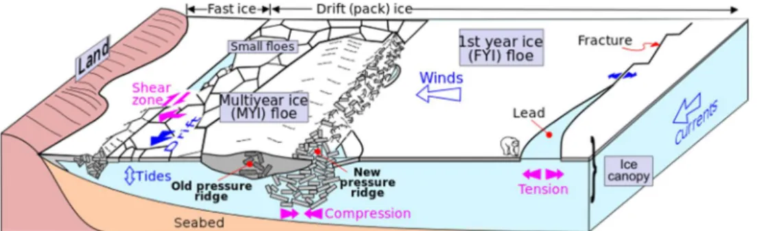 Figure 1. 1. Schematic representation of a hypothetical scenario showing some of the most common  sea-ice related features including fast ice, pack ice,  multiyear ice floe, first-year ice floe, and so  on