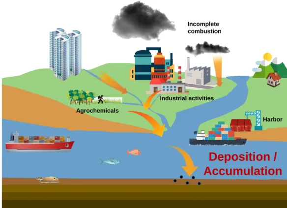 Figure 3. Routes of PCDD/Fs, PCBs, and PCNs into the marine environment. 