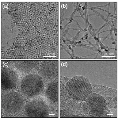 Figure 2.2. TEM images of (a) Fe 3 O 4  NPs and (b) Fe 3 O 4 /CNT. Their high-resolution TEM images are  shown in (c) and (d), respectively